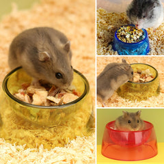 TieLishor small-animal bowl durable-construction withstands daily nibbling.