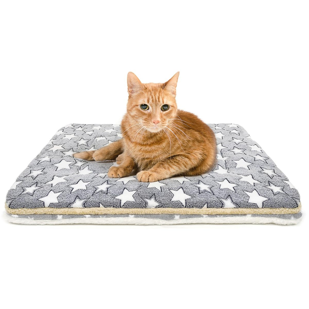 Tierecare cat blanket soft plush closeup showing cozy warmth for indoor cats