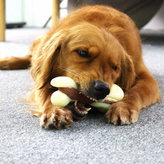 Tikaton beef-scented chew toy highlights enticing flavor for longer chewing sessions.