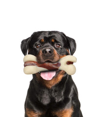 Tikaton indestructible dog chew bone silhouette showcases durable power for aggressive chewers.