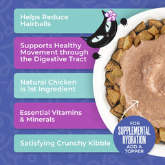 Tiki Pets omega-3 & 6 illustration — promotes healthy skin and coat in cats.