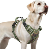 Timos large dog harness with 3-buckle system for quick on-off