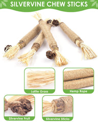 TINDTOP silvervine chew cat stimulation image showing energetic cats during play.