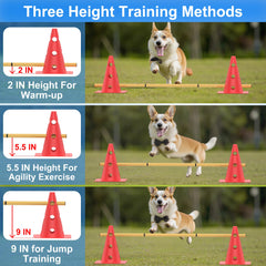 TINEPRY backyard-dog-training setup shown portable and easy to move for quick sessions