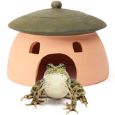 Tino Kino frog and toad house green lid close-up showing pumpkin and mushroom design for garden camouflage