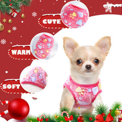 XXS Chihuahua Sweater on tiny dog demonstrates snug winter fit