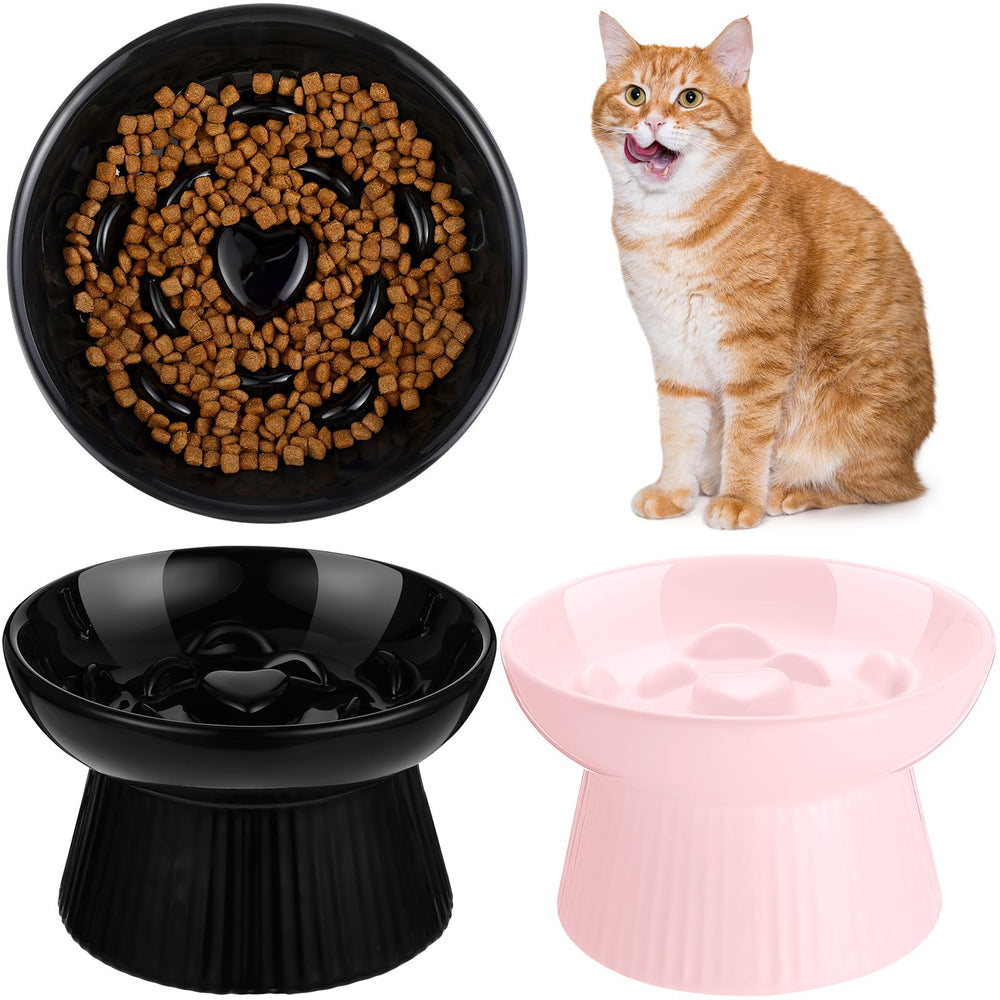 Tioncy 2-pack raised cat slow feeder bowls in black and pink for spill-free meals.