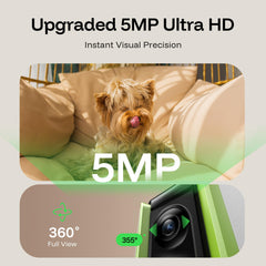 TKENPRO treats dispenser remote tossing demonstrates interactive play from the app.