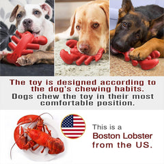 TLKNG Lobster Toy crate-training friendly, helps redirect boredom and reduces unwanted crate chewing.