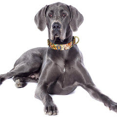 TMOODEL boho design collar adds cute style with a comfortable, gentle feel.