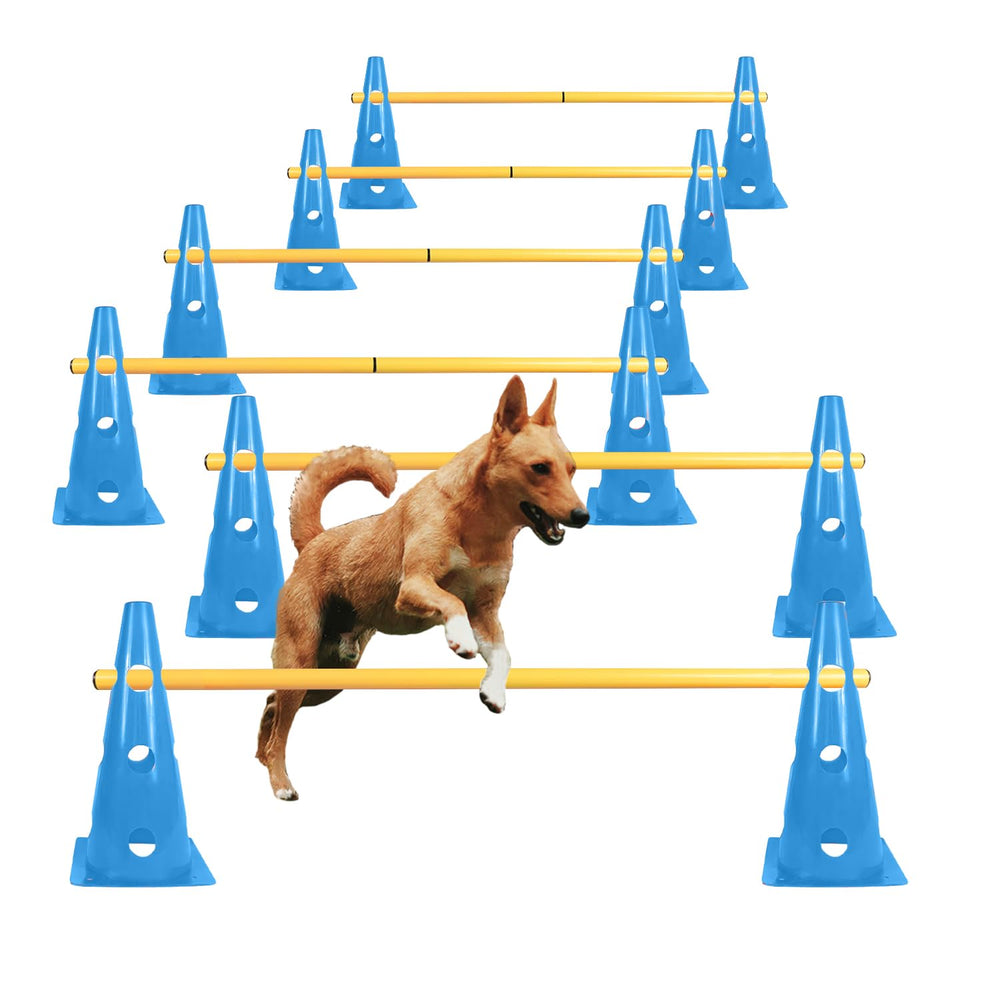 TNZMART dog agility hurdle cones blue assembly shows backyard training setup