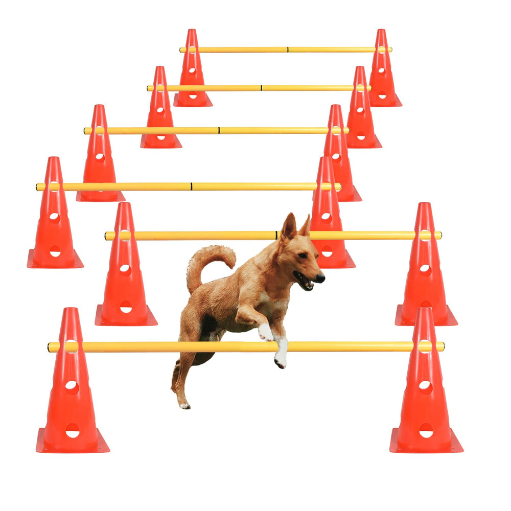 TNZMART dog agility hurdle cones orange set for backyard training focus