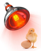 Tobebright heat lamp bulbs for coop warmth and undisturbed chick rest.