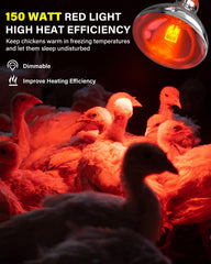 TobeBright infrared red glow creates a calm sleeping environment for chicks.