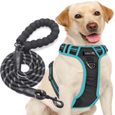 tobeDRI no-pull dog harness front clip for easier control during walks
