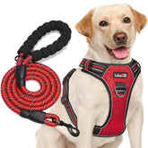 tobedri no-pull harness front clip demonstrates secure control during daily walks