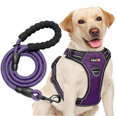 tobeDRI no pull harness front clip for controlled walking and reduced pulling