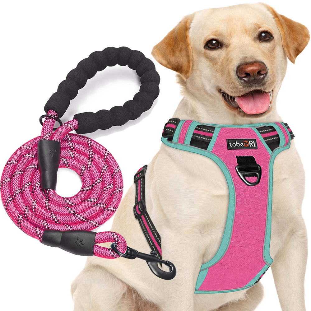 tobeDRI No Pull Harness front view showing front leash ring for controlled walking.