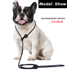 Tochibabe slip lead adjustable loop demonstrates quick fit for neck sizes.