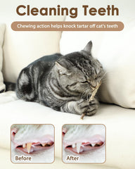 Tocirelo cat with silvervine toy - engaging feline action and bonding moments