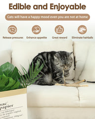 Close-up of Tocirelo silvervine sticks with fruit galls for multisensory play.