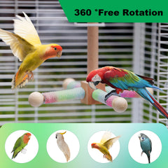 TogyGooty 360-degree rotating perch view highlights dynamic play