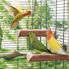 TogyGooty metal screw ends secure to cage bars for steady setup.