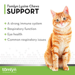 Tomlyn Immune Support Daily L-Lysine Chews treats shown as cat-friendly supplement