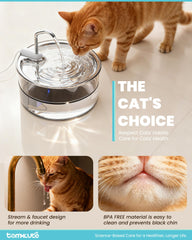 Tomxcute glass cat water fountain interior water view enables easy level checks.
