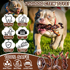TonyEst bacon-scented chew toys entice dogs to chew longer.