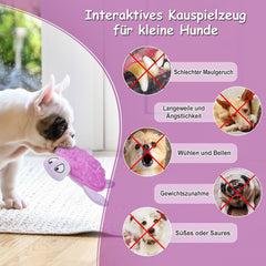 TONYFY Squeaky Sea Turtle Toy no-stuffing detail—mess-free fun.