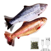 TOOGE 2-pack salmon floppy fish toy with SilverVine for interactive play and kicking.
