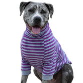 Tooth and Honey big dog stripe pullover purple grey cozy indoor wear