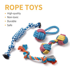 Toozey colorful small-dog toys; attractive design helps curb boredom during crate time.