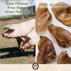 Top Dog Chews American-made pig ears emphasize quality and traceability