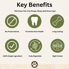 Top Dog Chews beef knee caps dental health benefits close up.