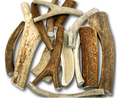 Top Dog Chews 1lb deer antlers premium-grade long-lasting chew for dogs