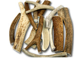 Top Dog Chews premium large antler variety-pack close-up for durable chewing