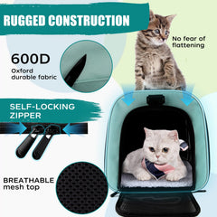 Top Tasta interior view with removable plush mat for cozy travel