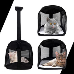 Top tasta collapsible carrier material showing durable fabric and frame.