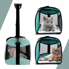 Top tasta pet travel carrier fits under airplane seat, convenient on flights