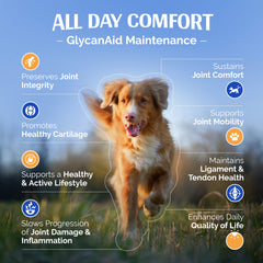 TopDog Health GlycanAid Maintenance chews shown as a tasty treat for dogs.