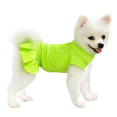 Topkins dog dress with pleated hem and back pockets for stylish daily wear.