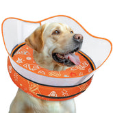 Toptakeit elevated inflatable dog cone full view showing secure post-surgery protection