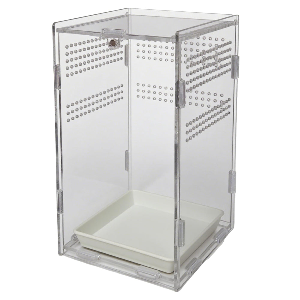 Totzlian acrylic jumping spider enclosure, top view highlighting compact arboreal habitat.