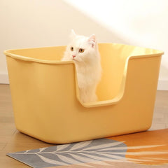 TownTime extra-large litter box green high-sides keeps litter inside for cleaner floors.