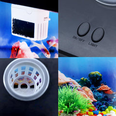Toycol Mini Fish Tank quiet-pump demonstrates ultra-quiet operation suitable for bedrooms.