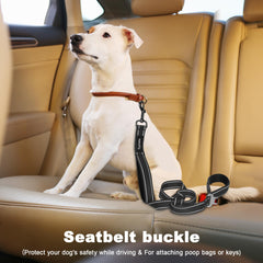 Tpotato reflective night leash increases visibility for safer evening jogs