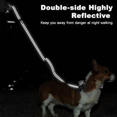 Tpotato sturdy nylon dog leash with durable construction for training and daily use