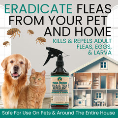 Trail Guard hand spray being applied for quick, pet-safe protection.